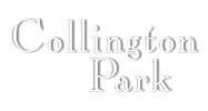 Project Logo